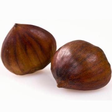 Clean Fresh Chestnuts for Sale