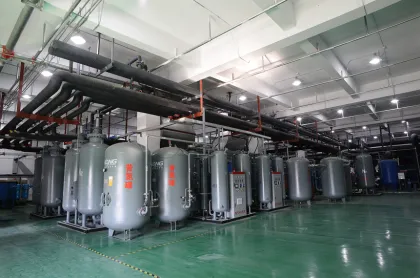 N2 Gas Generation System