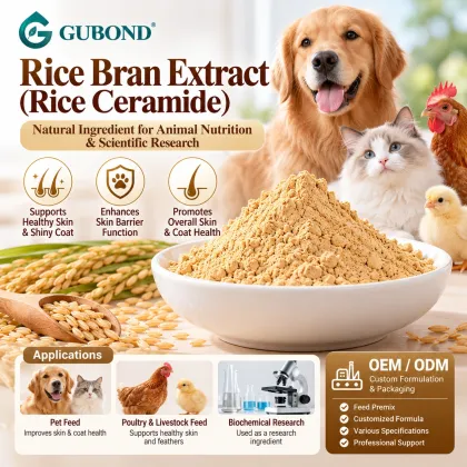 Rice Ceramide 0.5%–2% from Rice Bran Extract