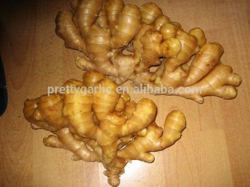 ginger