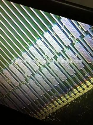 40X-400X Reflected and Transmitted Illumination DIC Microscope