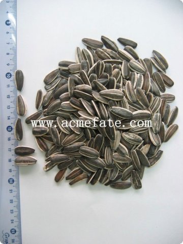 sunflower seeds sale