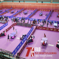 Suelos deportivos de PVC con certificación ITTF de tenis de mesa Enlio