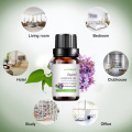 Aceite esencial de eugenol soluble en agua para aromaterapia