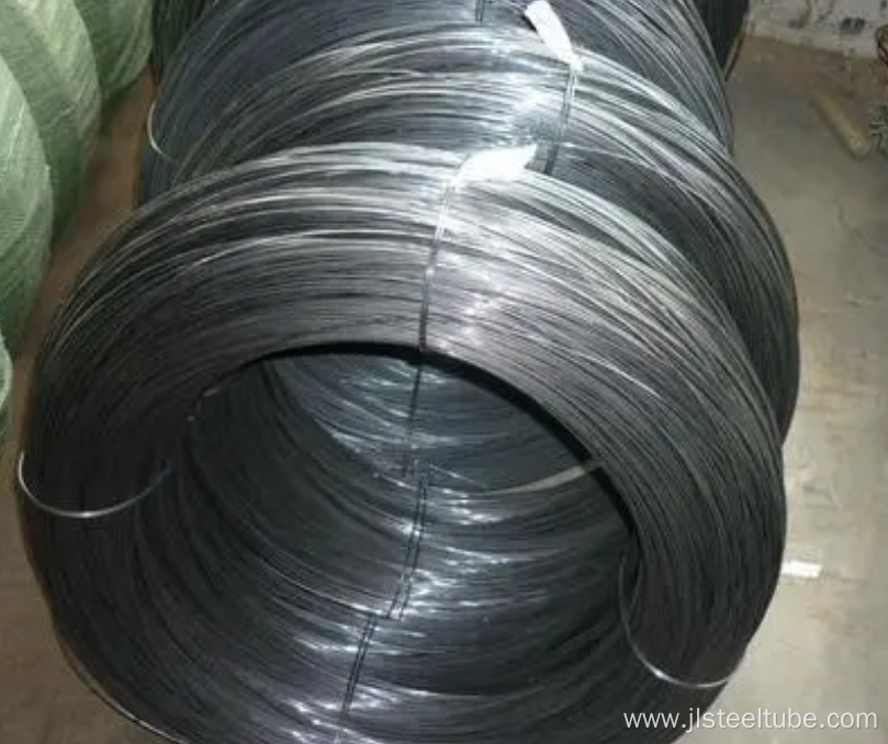 Hot Dipped Galvanized Welded Wire Mesh Roll