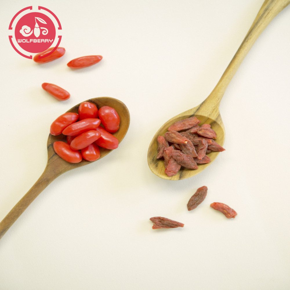 GMP Pabrik Best Selling Rendah Goji Berries pestisida