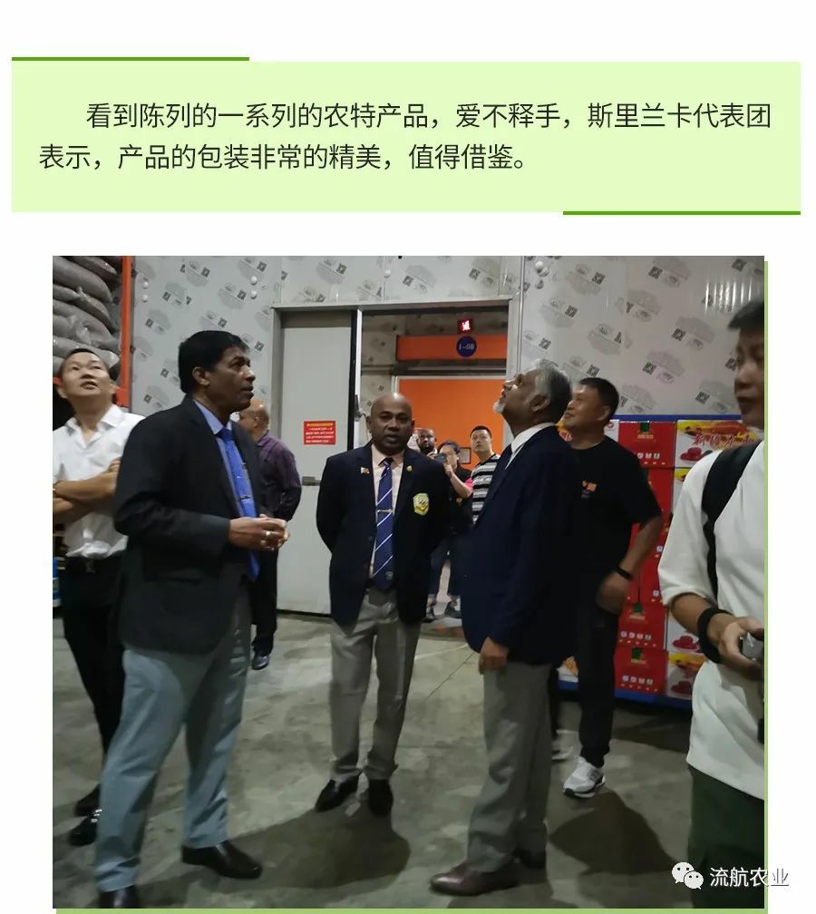 Organic Rice Production Wholesale Base