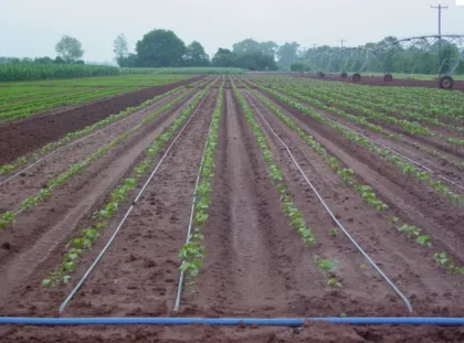 drip irrigation system