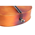 Tayste -kwaliteit Maple Cello 4/4