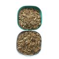 Long Shape Sunflower Seeds With Competitive Price