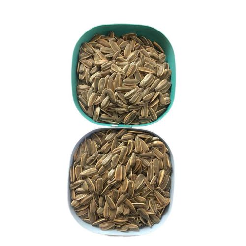 Long Shape Sunflower Seeds With Competitive Price