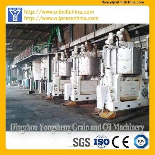 Chine Machine d'extraction d'huile de soja Fabricants