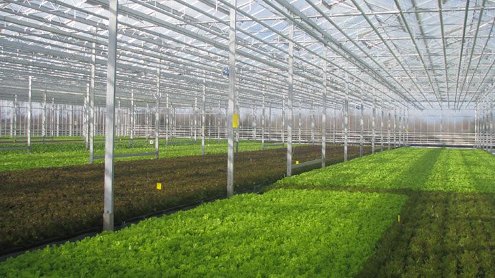 Greenhouse-body-S3 Greenhouse-body-S3