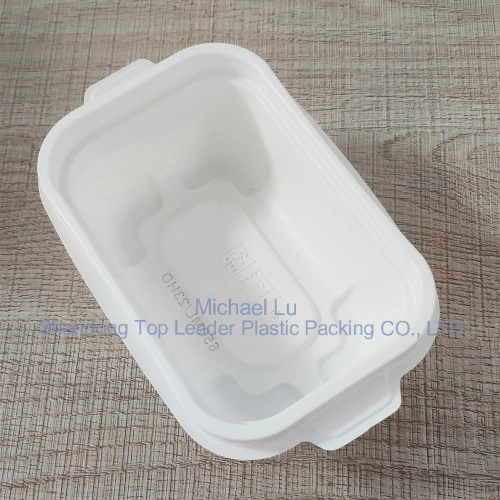 PP Material Thermoformed Disposable Plastic Food Trays With Lid