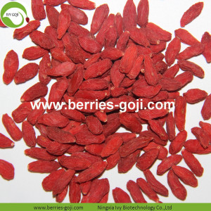 Acheteurs en gros Nature Low Pesticide Goji Baies