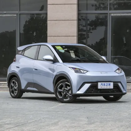 2025 BYD Seagull New Energy Vehicle: Small Adult Car Overview