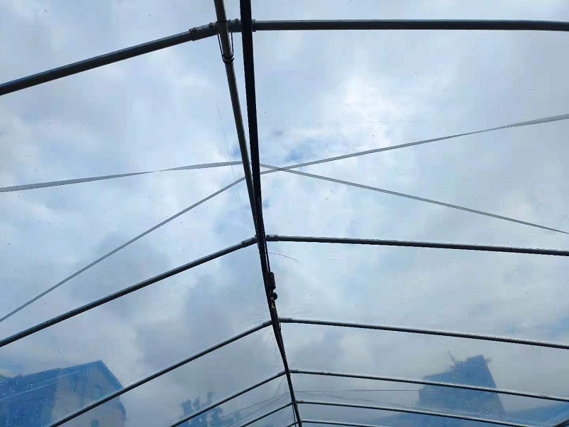 Qingcheng Agriculture's Single-Unit Arched Greenhouse Project in Hechuan Successfully Launched, Boosting the Quality and Efficiency of Suburban Facility Agriculture