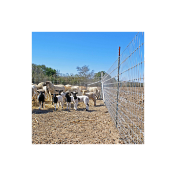 Field Fence: Sheep and Goat Enclosures
