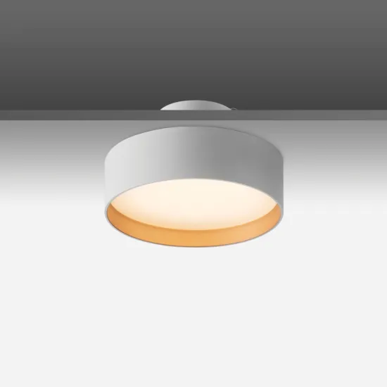 LED Surface Downlight 12w