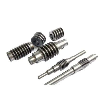 Zhejiang Factory OEM Worm Wheel Worm Gear Customization