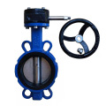 DN50-DN300 Metal sealed worm gear butterfly valve