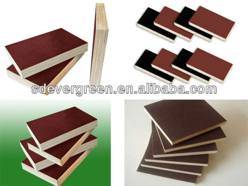 competitive shuttering plywood for construction