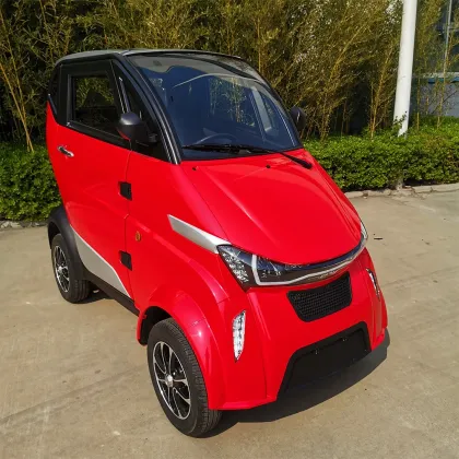 Direct Manufacturer Supplies Electric Car
