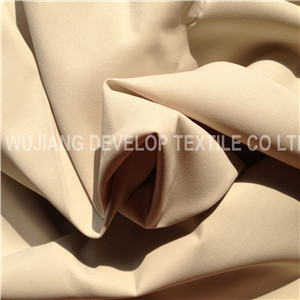 Polyester Nylon Micro Fiber Peach Skin Fabric (DNT2059)