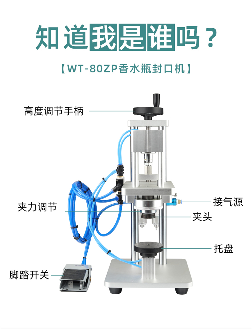 Pneumatic Capping Machine 6 Jpg