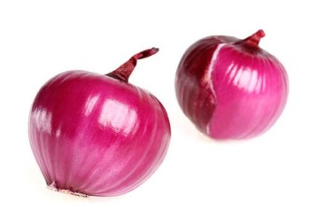 Export The Top Quality Red Onion