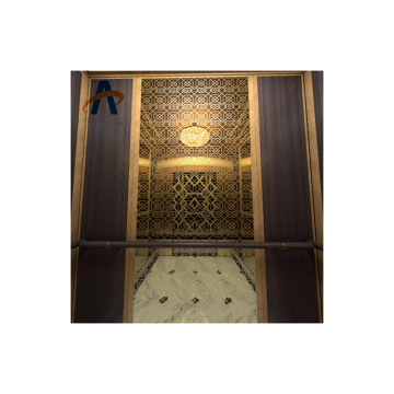 Terbaik Penjelasan 0,3m/S SL Bahan Baik Operasi Bersisik Villa Lift Lift Lift