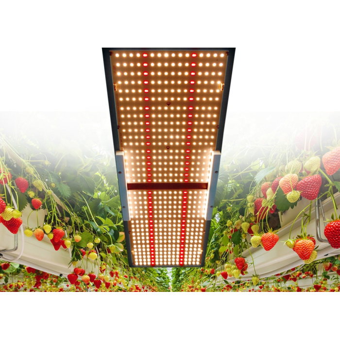 Striscia a LED a serra da 240 W Luce coltivazione