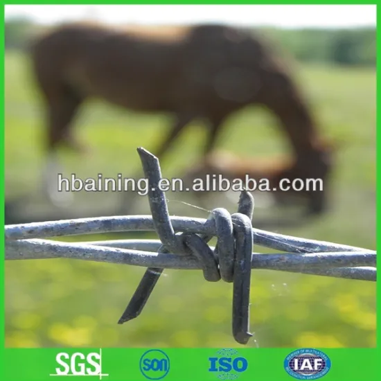 electric / hot dipped barbed wire