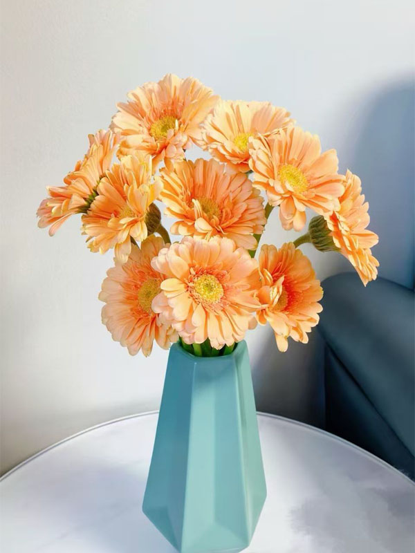 Gerbera Mermaid4
