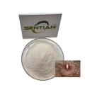/msite/products/detail/productid/63489230/id/1521433.html
