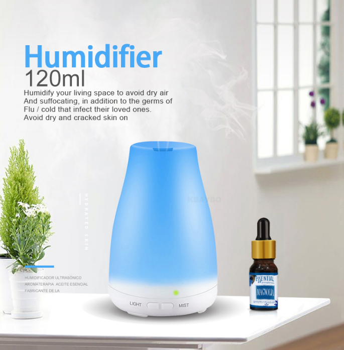 Humidifier Of Japanese Wine Bottle Details 2