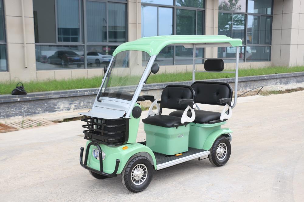 Cheap 2person electric sightseeing car