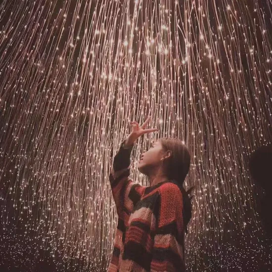 Customized Colorful LED Fiber Optic Light Cable for Waterfall Curtain Tree Lighting