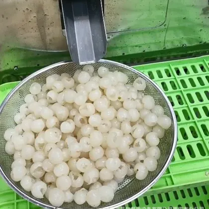 Automatic Longan Fruit Peeling and Shelling Machine