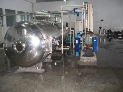 Duck meat low temperature vacuum freeze-drying