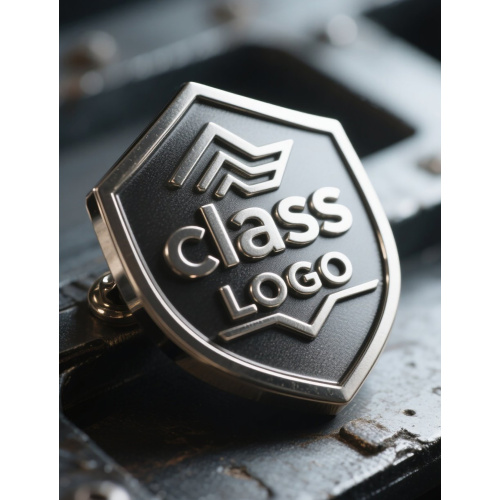 Metal class magnetic pin customizable logo