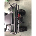 Чистий електричний ATV All Terrain Acrect