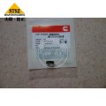 Cummins Spare Parts Rectangular Ring Seal 3883510