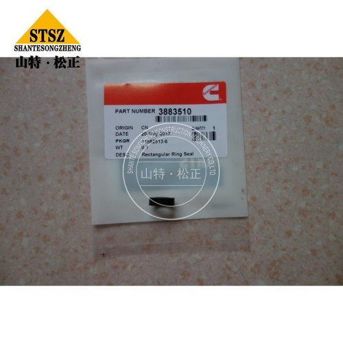 Cummins Spare Parts Rectangular Ring Seal 3883510