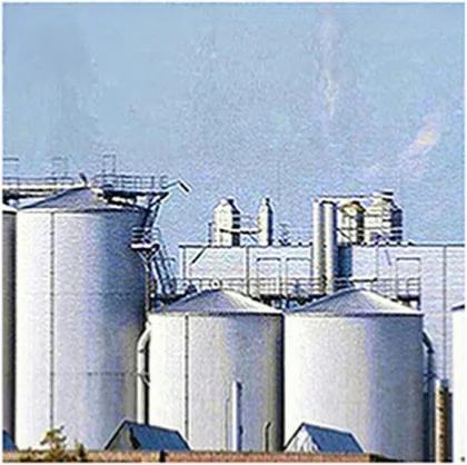 Natural instant mango drink flavour mango powder