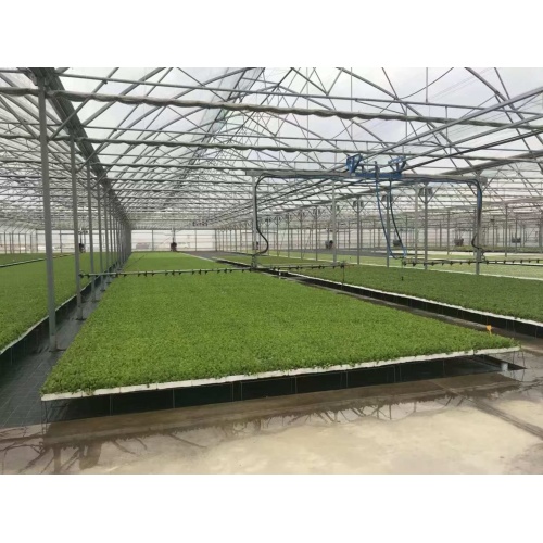 Mobile Sprinkler Irrigation System
