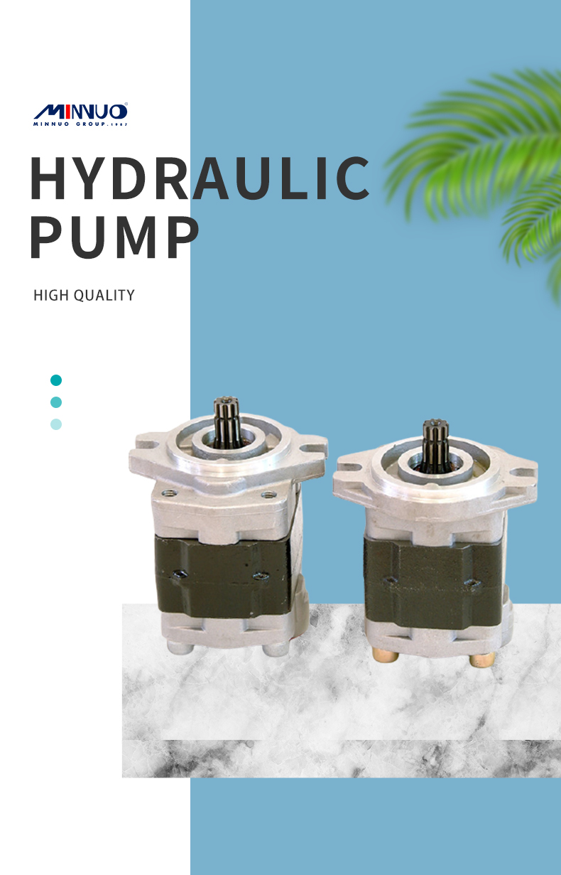 hydraulic pump assembly