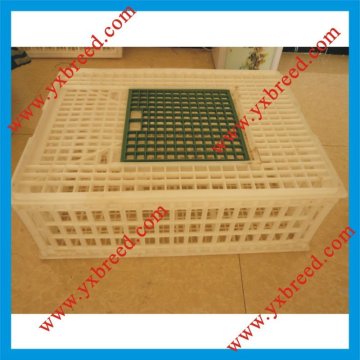 poultry plastic transport crate