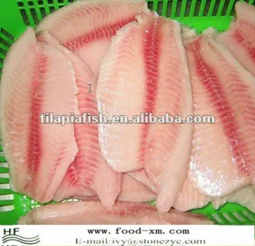 fresh frozen tilapia fillet