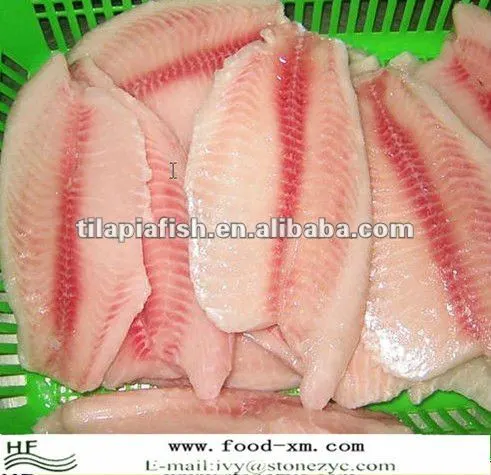 fresh frozen tilapia fillet